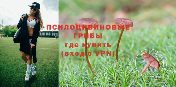 ALPHA PVP Арсеньев