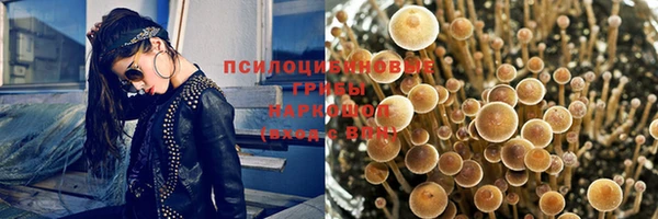 соль ск Аркадак