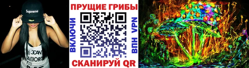 Галлюциногенные грибы GOLDEN TEACHER  Узловая 